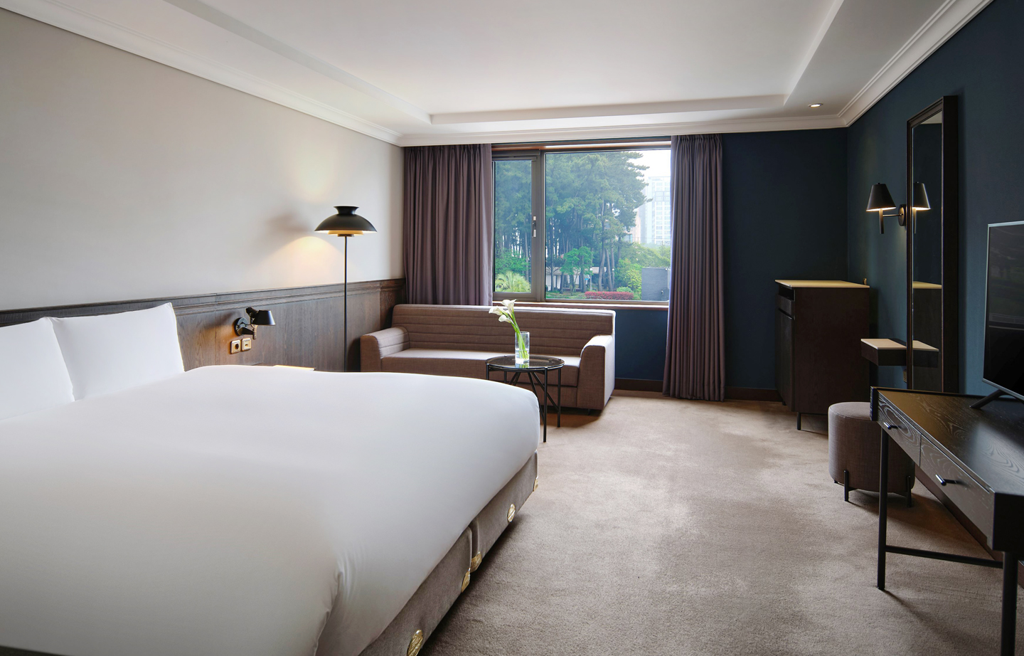 PREMIUM PLUS ROOM IMAGE 01