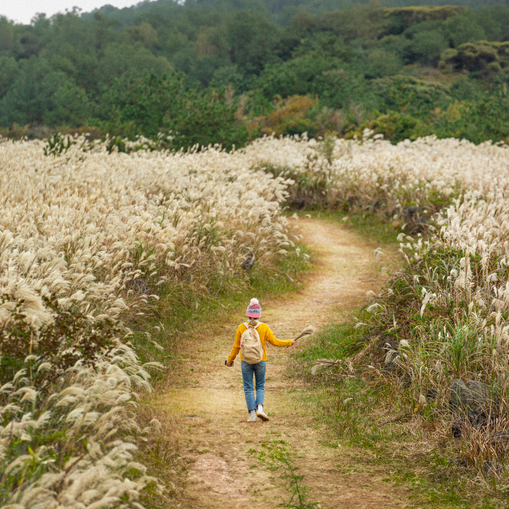 가을 오름 산책